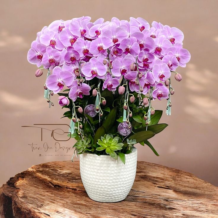 Lan Hồ Điệp 001